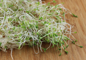 *Pre-Order* Alfalfa Sprouts
