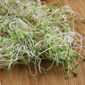 *Pre-Order* Alfalfa Sprouts