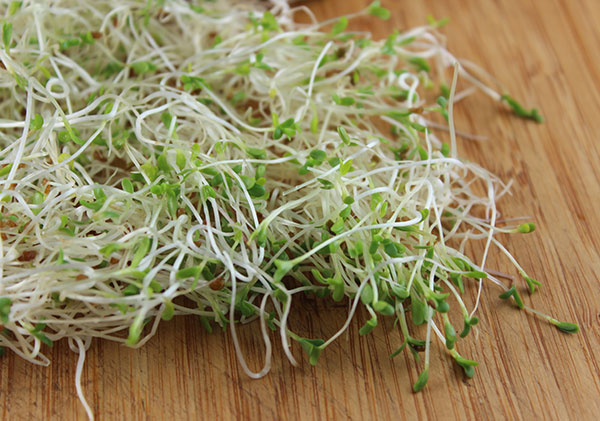 pre-order-alfalfa-sprouts