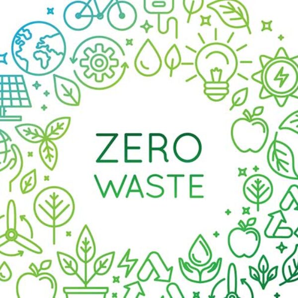 Detail-ZeroWasteIllustration-©Venimo-IStock